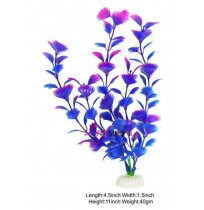 Shining Begnia Blue Plant